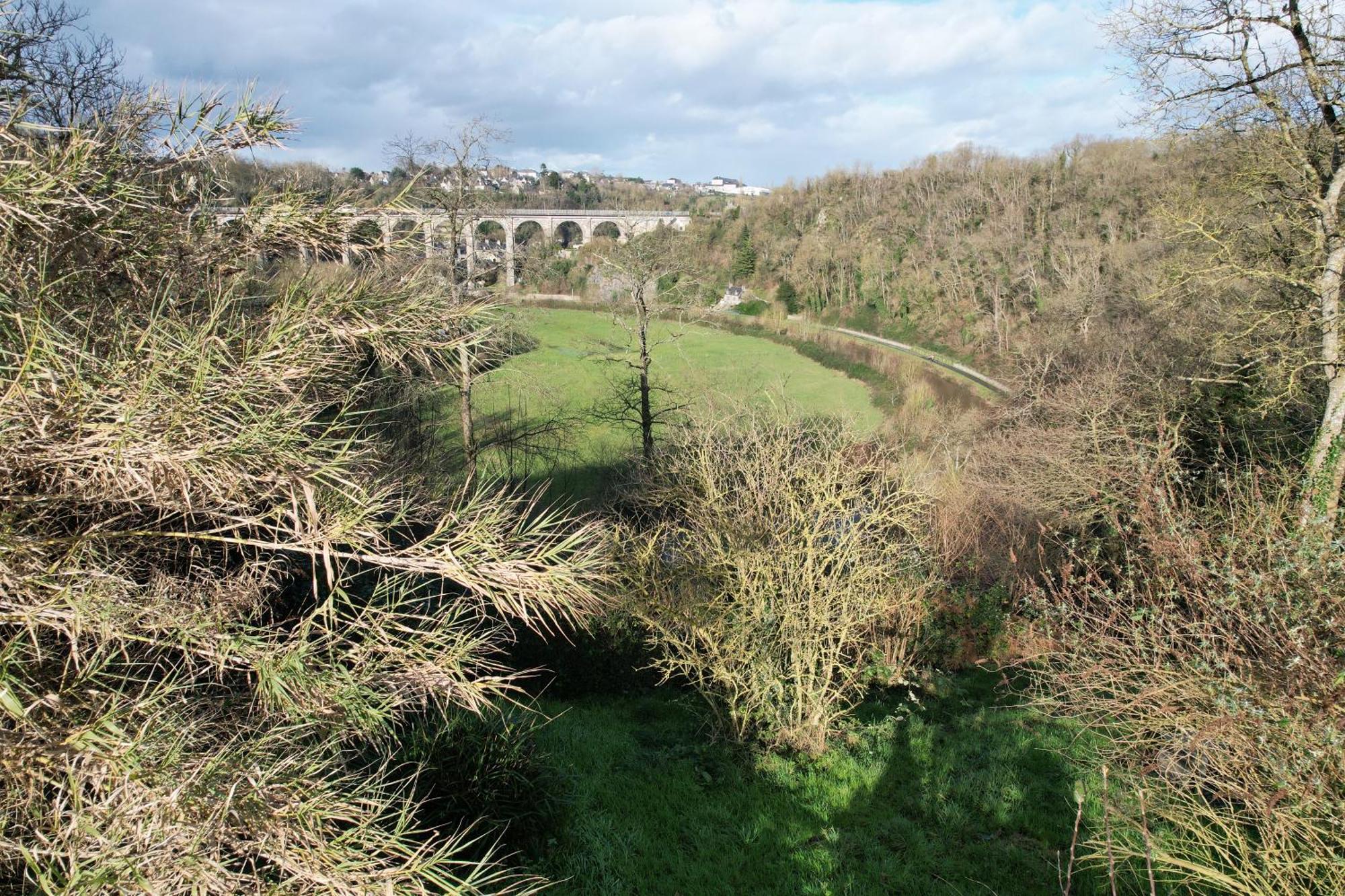 O Bois Dormant- Studio Vue Rance River Et Viaduc De Dinan Lanvallay 外观 照片