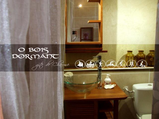 O Bois Dormant- Studio Vue Rance River Et Viaduc De Dinan Lanvallay 外观 照片