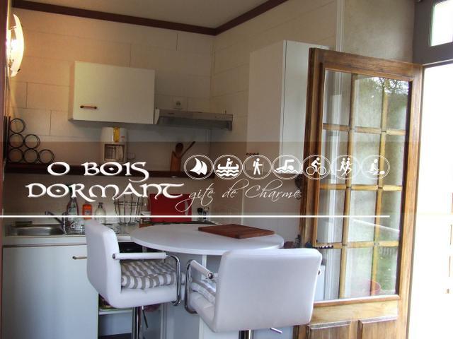 O Bois Dormant- Studio Vue Rance River Et Viaduc De Dinan Lanvallay 外观 照片